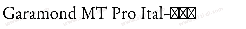 Garamond MT Pro Ital字体转换